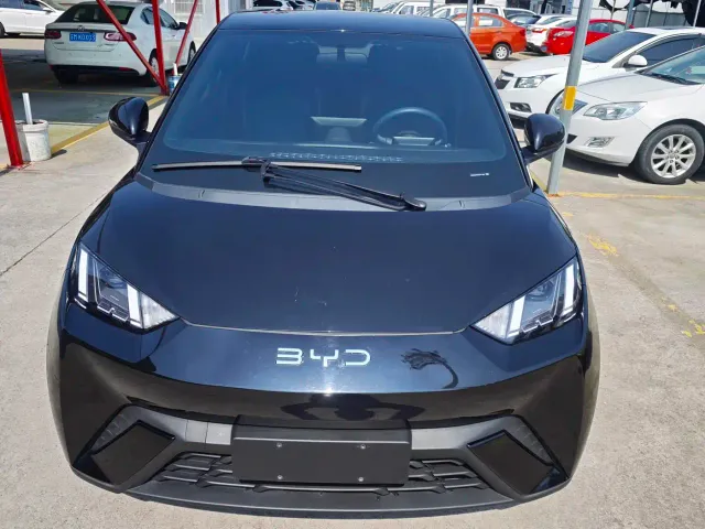BYD Seagull — Фото автомобиля 2