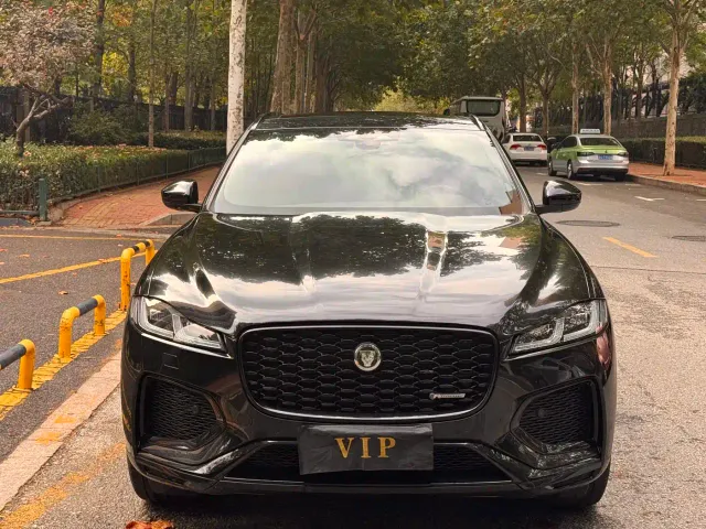 Jaguar F-Pace — Фото автомобиля 2