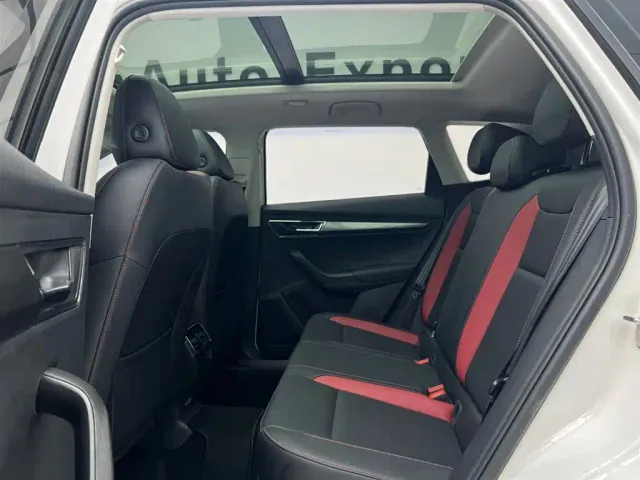 Skoda Karoq — Фото автомобиля 14