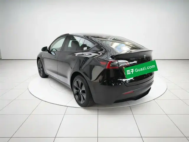Tesla Model Y — Фото автомобиля 4