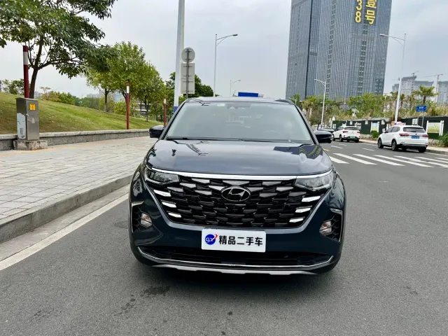Hyundai Custo — Фото автомобиля 23