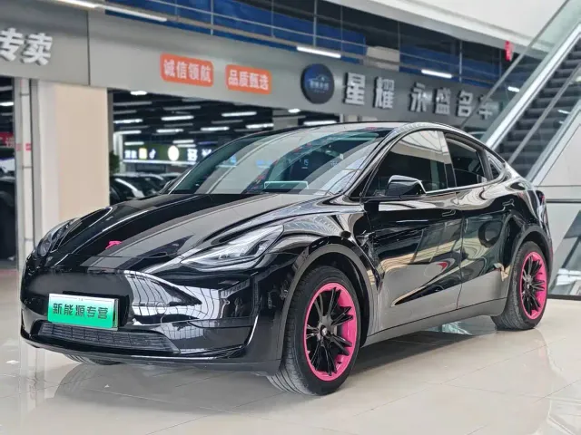 Tesla Model Y — Фото автомобиля 3