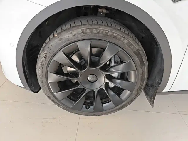 Tesla Model Y — Фото автомобиля 22