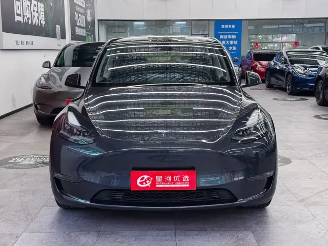 Tesla Model Y — Фото автомобиля 2