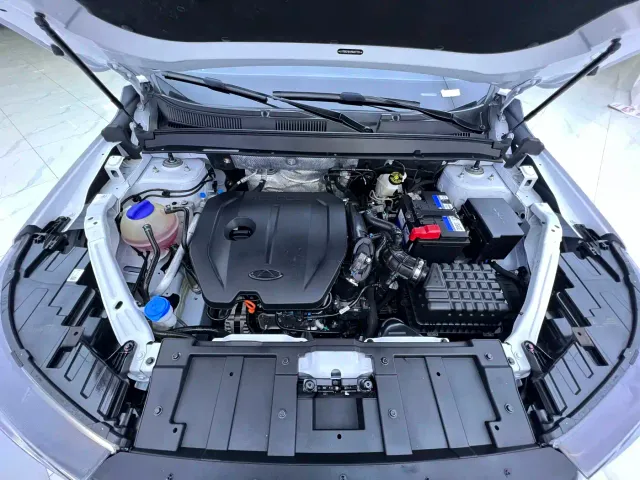 Chery Tiggo 7 PLUS — Фото автомобиля 21