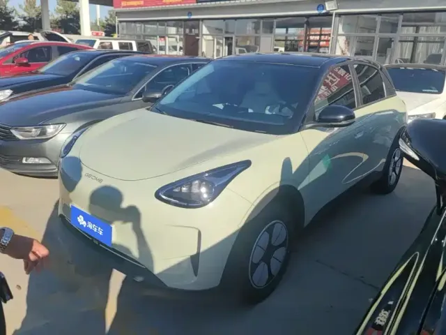 Фотография автомобиля — Geely Starry Wish