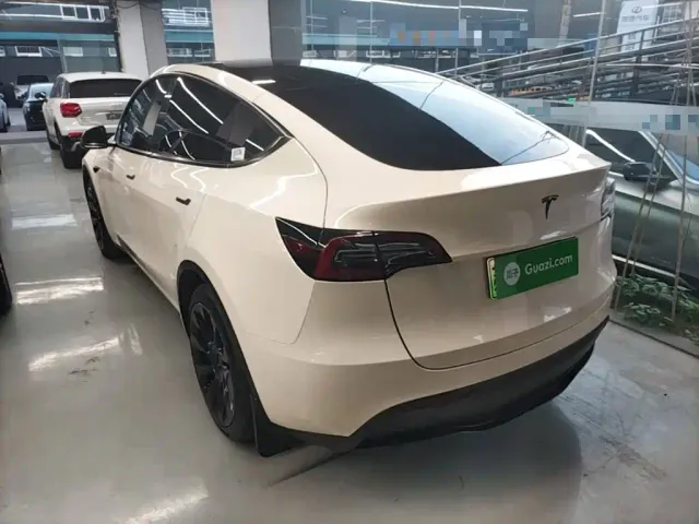 Tesla Model Y — Фото автомобиля 4