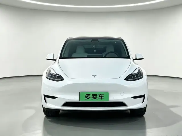 Tesla Model Y — Фото автомобиля 2