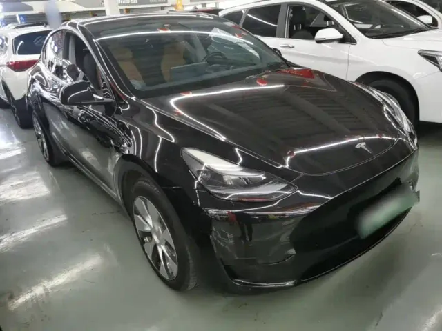 Tesla Model Y — Фото автомобиля 3