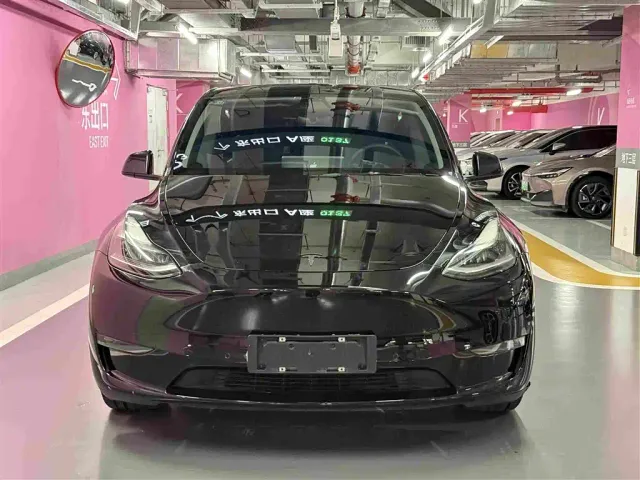 Tesla Model Y — Фото автомобиля 2