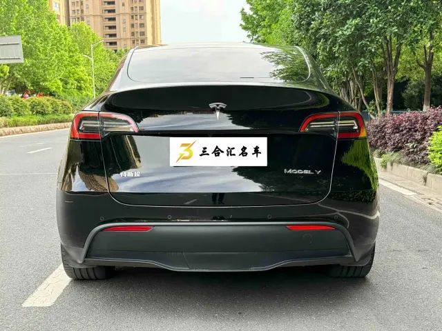 Tesla Model Y — Фото автомобиля 9