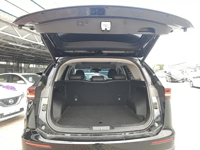 Haval Haval H6 2024 1.5T 2WD Max — Фото автомобиля 18