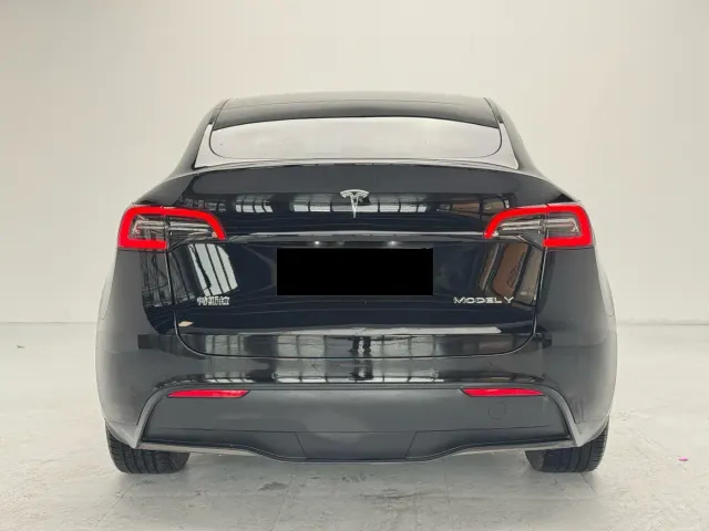 Tesla Model Y — Фото автомобиля 3