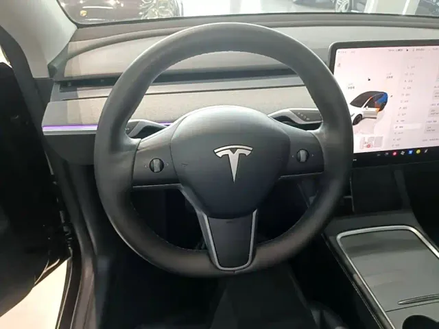 Tesla Model Y — Фото автомобиля 10