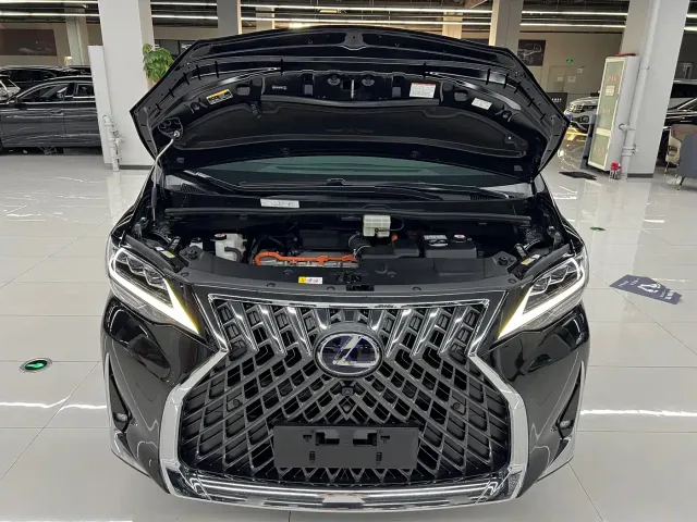 Lexus LM — Фото автомобиля 26