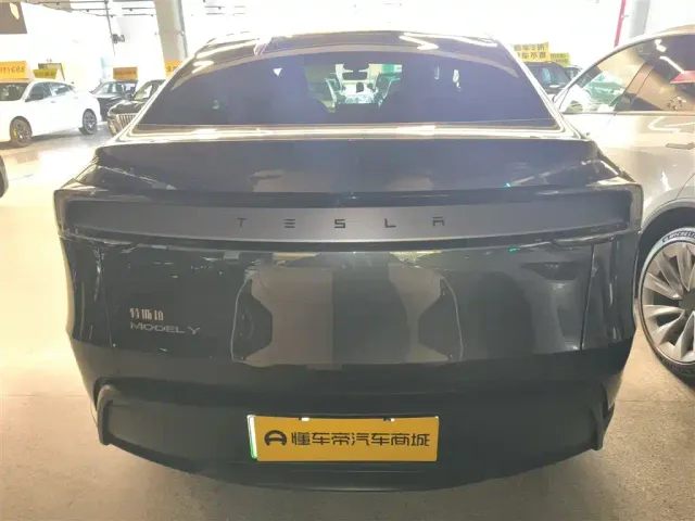Tesla Model Y — Фото автомобиля 3