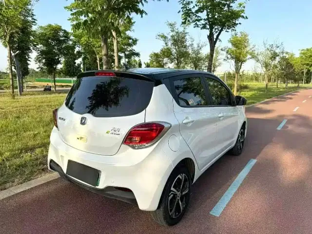 Changan Benben E-Star — Фото автомобиля 6