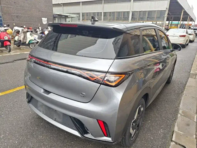 BYD Dolphin — Фото автомобиля 6