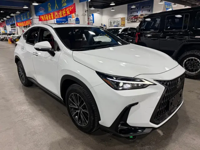 Lexus NX — Фото автомобиля 3