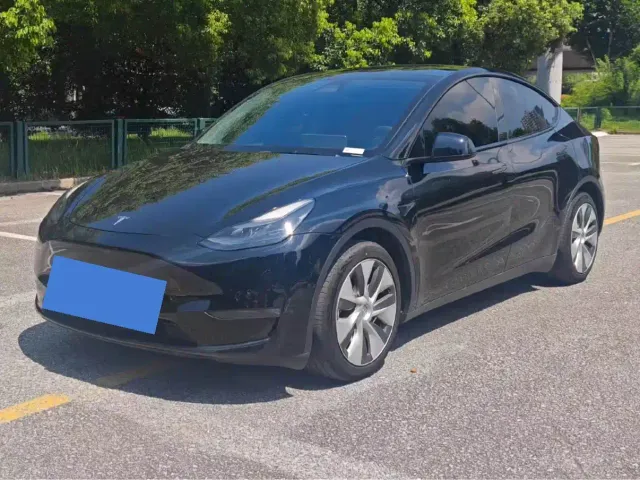 Tesla Model Y — Фото автомобиля 2