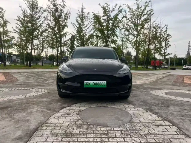 Tesla Model Y — Фото автомобиля 2