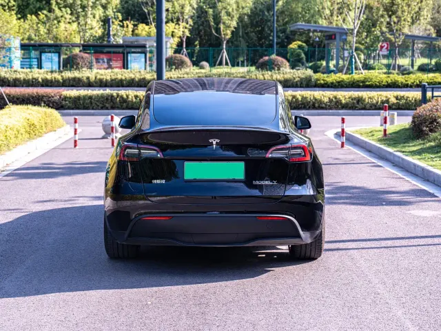Tesla Model Y — Фото автомобиля 4