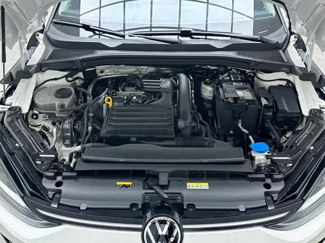 Volkswagen Lamando — Фото автомобиля 19