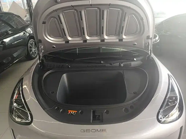 Geely Starry Wish — Фото автомобиля 19