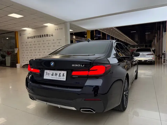 BMW 5 Series — Фото автомобиля 16