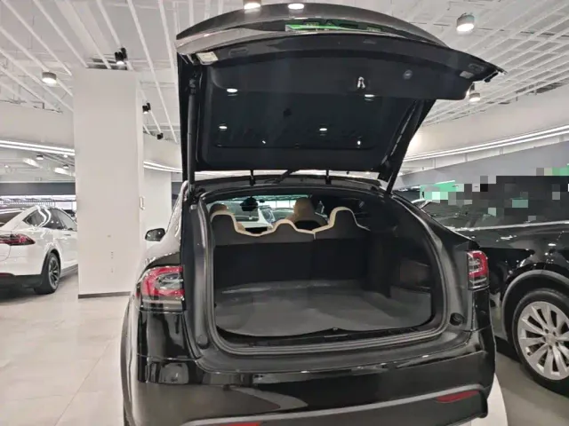 Tesla Model X — Фото автомобиля 18