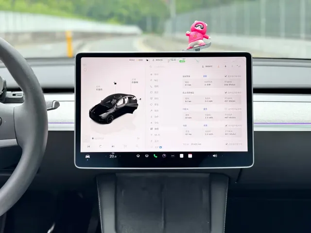 Tesla Model Y — Фото автомобиля 13