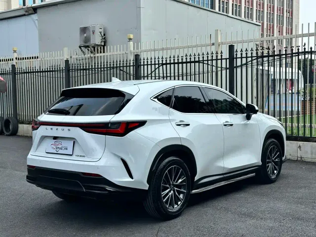 Lexus NX — Фото автомобиля 12