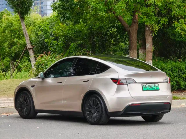 Tesla Model Y — Фото автомобиля 9