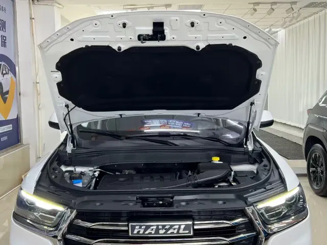 Haval H6 — Фото автомобиля 23