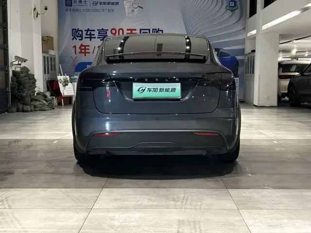 Tesla Model X — Фото автомобиля 8