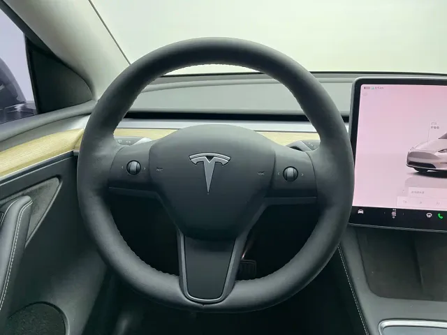 Tesla Model Y — Фото автомобиля 12