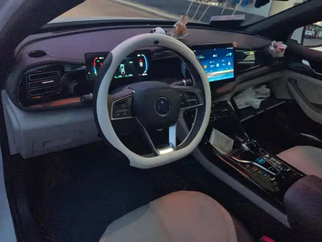 BYD Qin PLUS — Фото автомобиля 12