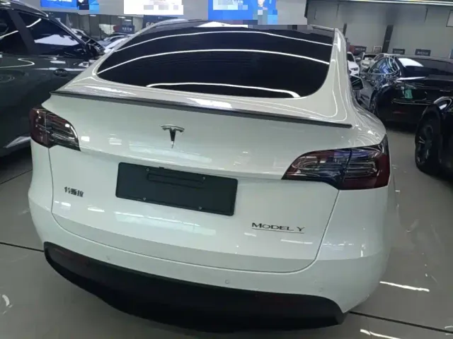 Tesla Model Y — Фото автомобиля 5