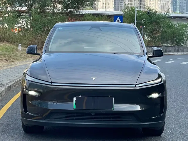 Tesla Model Y — Фото автомобиля 2