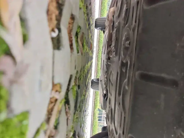 BYD Song PLUS — Фото автомобиля 21