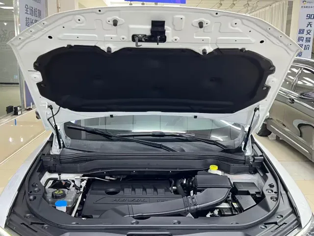 Haval H6 — Фото автомобиля 24