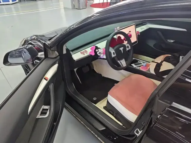 Tesla Model 3 — Фото автомобиля 15