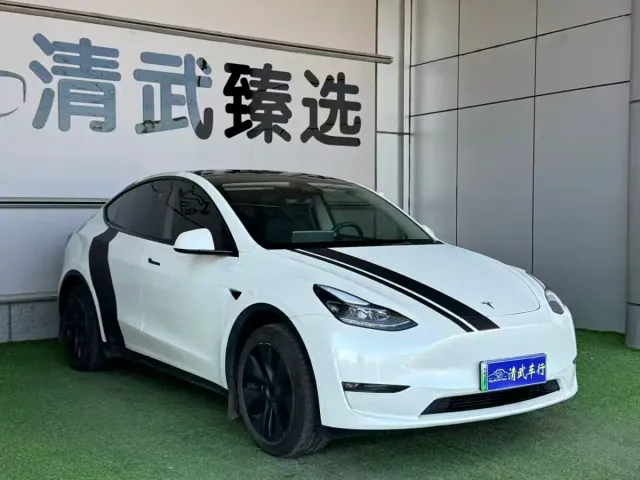 Tesla Model Y — Фото автомобиля 2