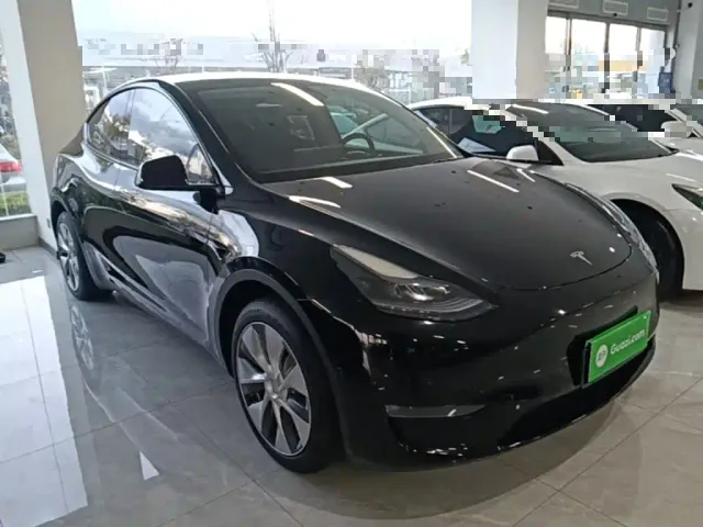 Tesla Model Y — Фото автомобиля 3