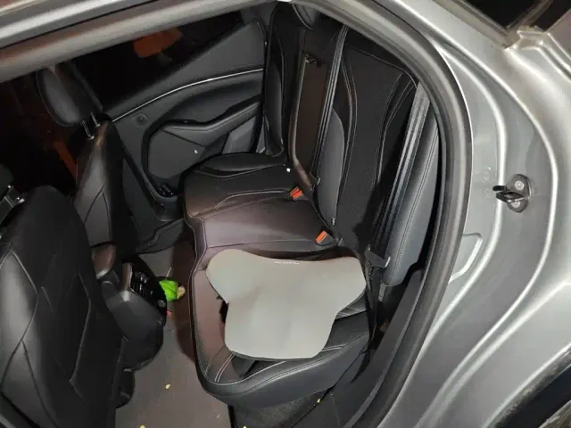 Ford Mustang Mach-E — Фото автомобиля 18