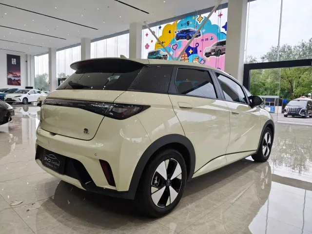 BYD Dolphin — Фото автомобиля 5