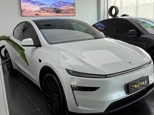 Tesla Model Y — Фото автомобиля 3