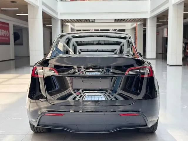 Tesla Model Y — Фото автомобиля 6