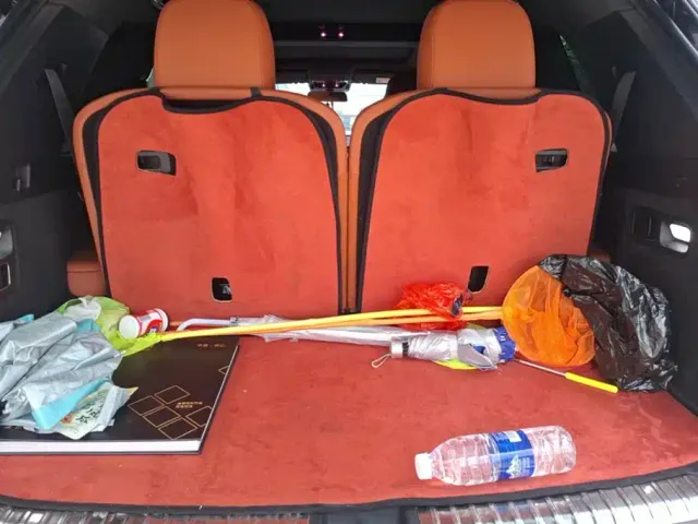 Li Auto L8 — Фото автомобиля 4