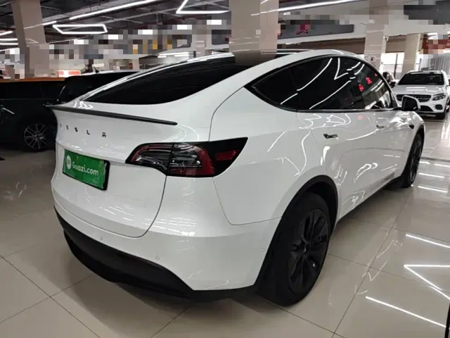 Tesla Model Y — Фото автомобиля 6
